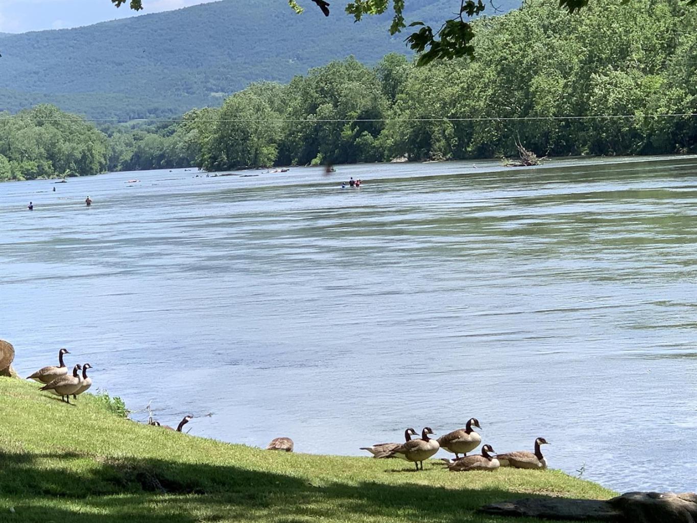 Bear Valley- Riverfront With Hot Tub! Luray Exterior foto